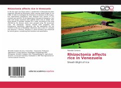 Rhizoctonia affects rice in Venezuela