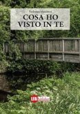 Cosa ho visto in te (eBook, ePUB)