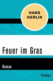 Feuer im Gras (eBook, ePUB)