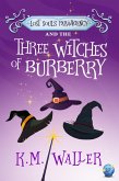 Lost Souls ParaAgency and the Three Witches of Burberry (eBook, ePUB)