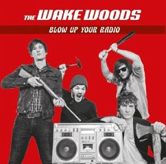 Cover Blow Up Your Radio