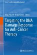 Targeting the DNA Damage Response for... - Bild 1