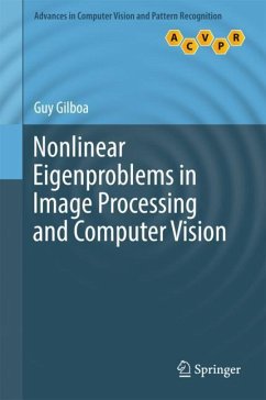 Nonlinear Eigenproblems in Image Processing and Computer Vision - Gilboa, Guy