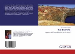 Gold Mining - Bekele Terfassa, Sirika