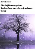 Die Aufklaerung eines Verbrechens aus einem frueheren Leben (eBook, ePUB)