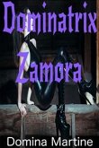 Dominatrix Zamora (eBook, ePUB)