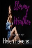 Stormy Weather (eBook, ePUB)