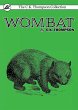 Wombat - Bild 1