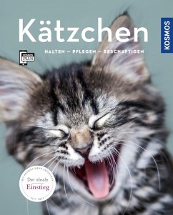 Kätzchen (eBook, PDF) - Grimm, Hannelore