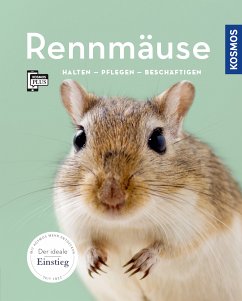 Rennmäuse (eBook, PDF) - Steinkamp, Anja