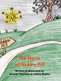 The Storm at Nubbin Hill