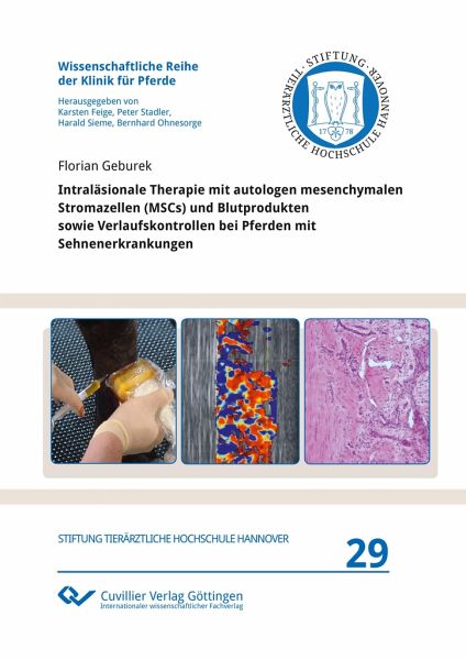 Intraläsionale Therapie mit autologen mesenchymalen Stromazellen (MSCs) und Blutprodukten sowie Verlaufskontrollen bei Pferden mit Sehnenerkrankungen Intraläsionale Therapie mit autologen mesenchymalen Stromazellen (MSCs) und Blutprodukten sowie Verlaufskontrollen bei Pferden mit Sehnenerkrankungen