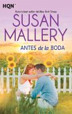 Antes de la boda (eBook, ePUB)