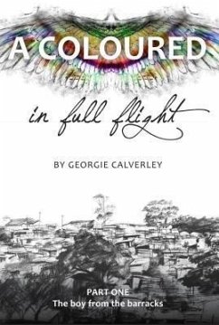 Cover A Coloured in Full Flight (Book One: The boy from the barracks) (eBook, ePUB)