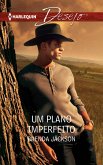Um plano imperfeito (eBook, ePUB)