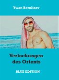 Verlockungen des Orients (eBook, ePUB)