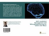 tDCS moduliert Neurogenese und Mikrogliaaktivierung im Gehirn der Maus