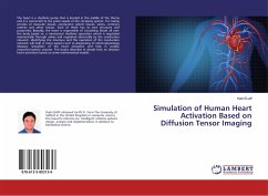 Simulation of Human Heart Activation Based on Diffusion Tensor Imaging