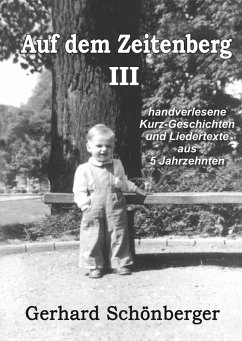 Auf dem Zeitenberg III (eBook, ePUB)