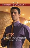 Encontro ardente (eBook, ePUB)