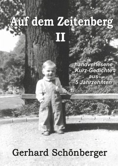 Auf dem Zeitenberg II (eBook, ePUB)