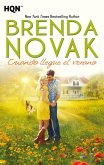 Cuando llegue el verano (eBook, ePUB)