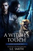 Witch's Touch: Seven Kingdoms Tale 3 (eBook, ePUB)