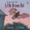 The Secret Life of the Little Brown Bat - Bild 1