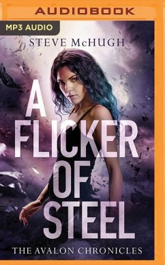 A Flicker of Steel - McHugh, Steve