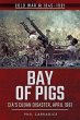 Bay of Pigs - Bild 1