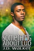 Something About Lud (eBook, ePUB)