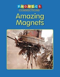 Amazing Magnets - Blevins, Wiley