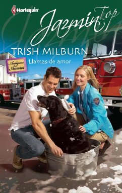 Cover LLAMAS DE AMOR (eBook, ePUB)