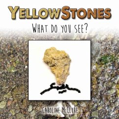 Yellow Stones - McClure, Caroline