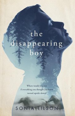 The Disappearing Boy - Wilson, Sonia