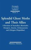 Splendid Ghost Moths and Their Allies