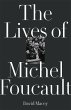 The Lives of Michel Foucault - Bild 1