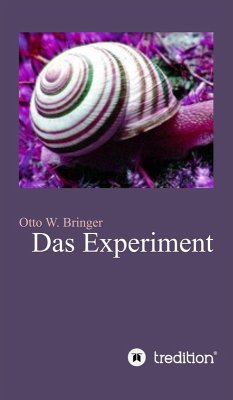 Das Experiment (eBook, ePUB) - Bringer, Otto W.