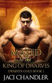 Mated to the King of Dwarves (Dwarven Gold, #1) (eBook, ePUB)