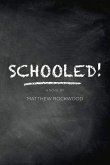 Schooled!: Based on One Lawyer's True-Life Successes, Failures, Frustrations, and Heartbreaks While Teaching in the New York City