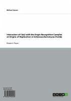 Interaction of Cdc2 with the Origin Recognition Complex at Origins of Replication in Schizosaccharomyces Pombe (eBook, ePUB)