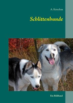 Schlittenhunde - Ketschau, A.