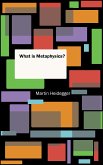 What is Metaphysics? (eBook, ePUB)