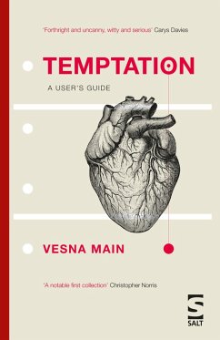 Temptation: A User's Guide (eBook, ePUB) - Main, Vesna
