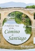 A Different View of the Camino de Santiago (eBook, ePUB)