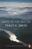 Wade in the Water (eBook, ePUB) Wade in the Water (eBook, ePUB)