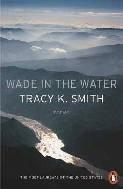 Cover Wade in the Water (eBook, ePUB)