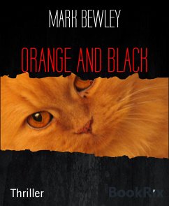 ORANGE AND BLACK (eBook, ePUB) - BEWLEY, MARK