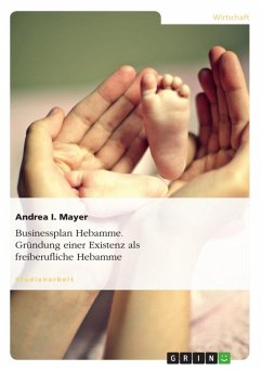 Cover Businessplan Hebamme (eBook, ePUB)