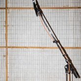 Letila Zozulya Letila Zozulya